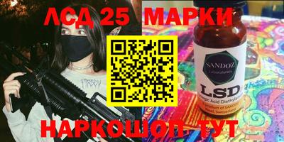 гидра Новодвинск