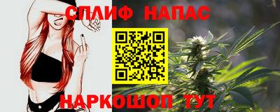 гидра Новодвинск