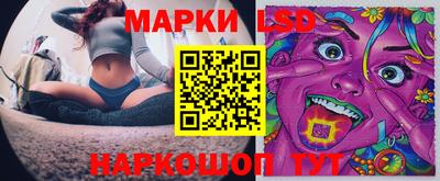 гидра Новодвинск