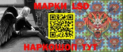 гидра Новодвинск