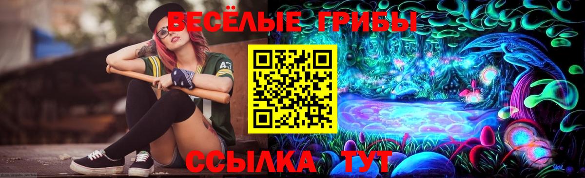 Псилоцибиновые грибы мухоморы  Вход с VPN  Унеча 